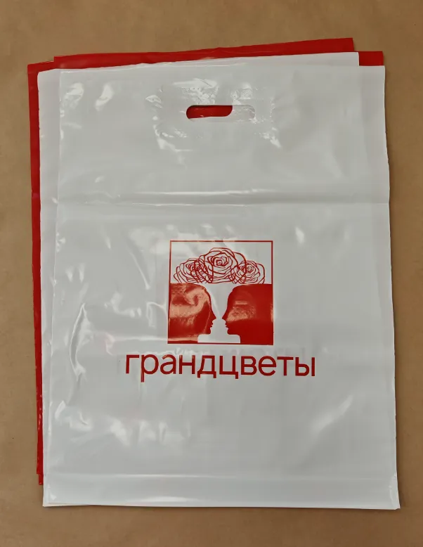 Пакеты с логотипом на заказ — пример работы типографии Полар Медиа